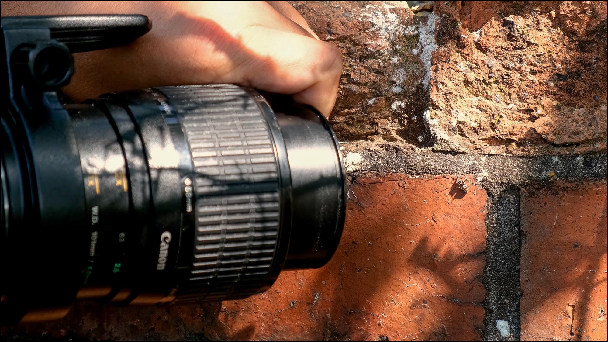 Camera lens taking picture of spider on wall