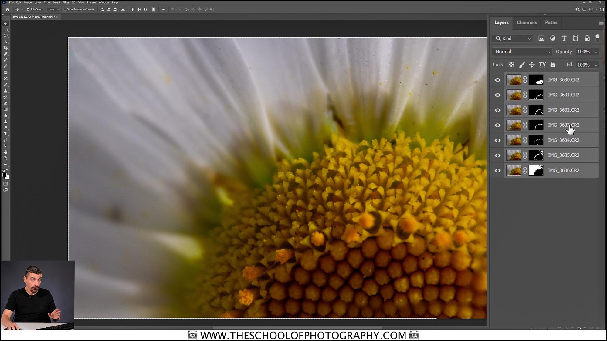 man editing macro photo of flower in Photoshop