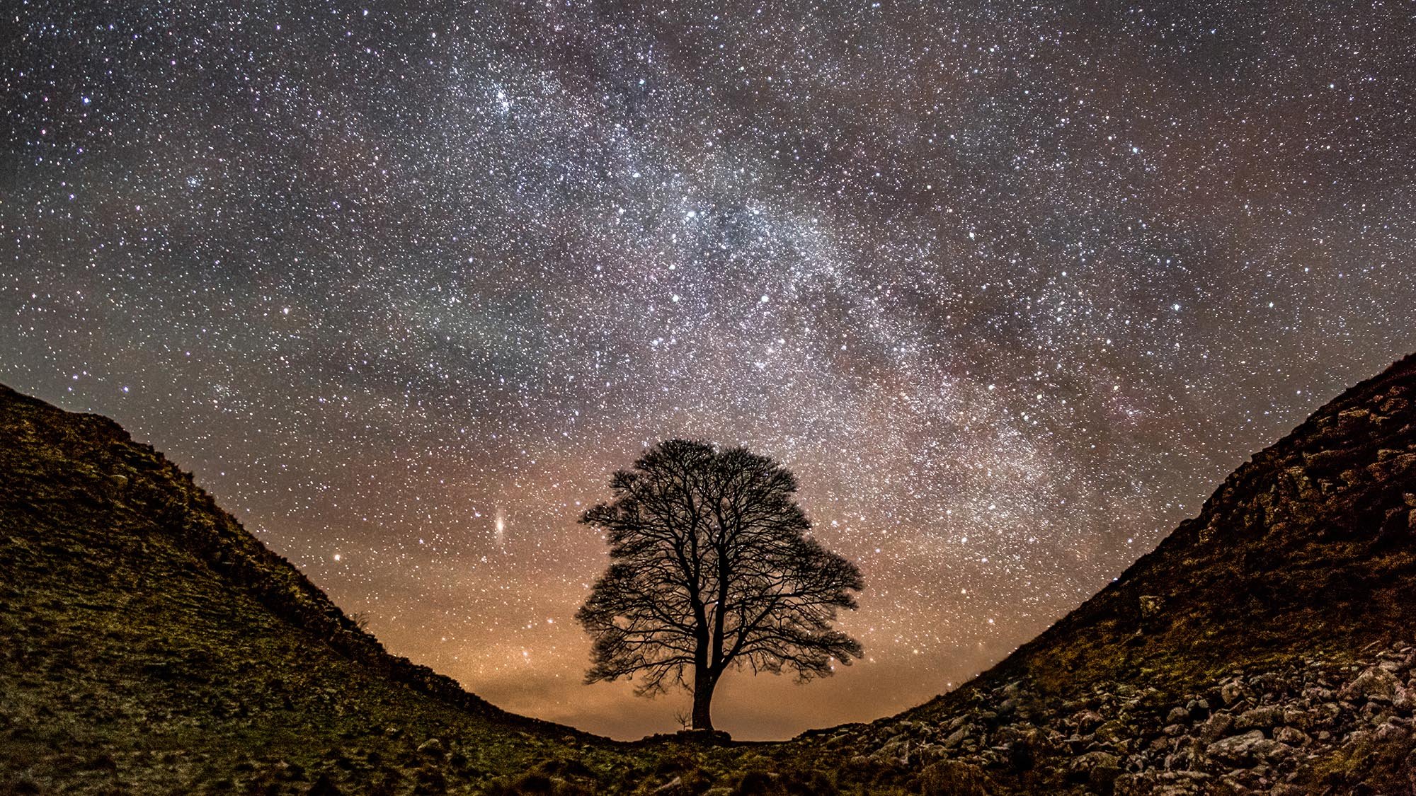 Astrophotography of Sycamore Gap tree under the breathtaking Milky Way night sky.