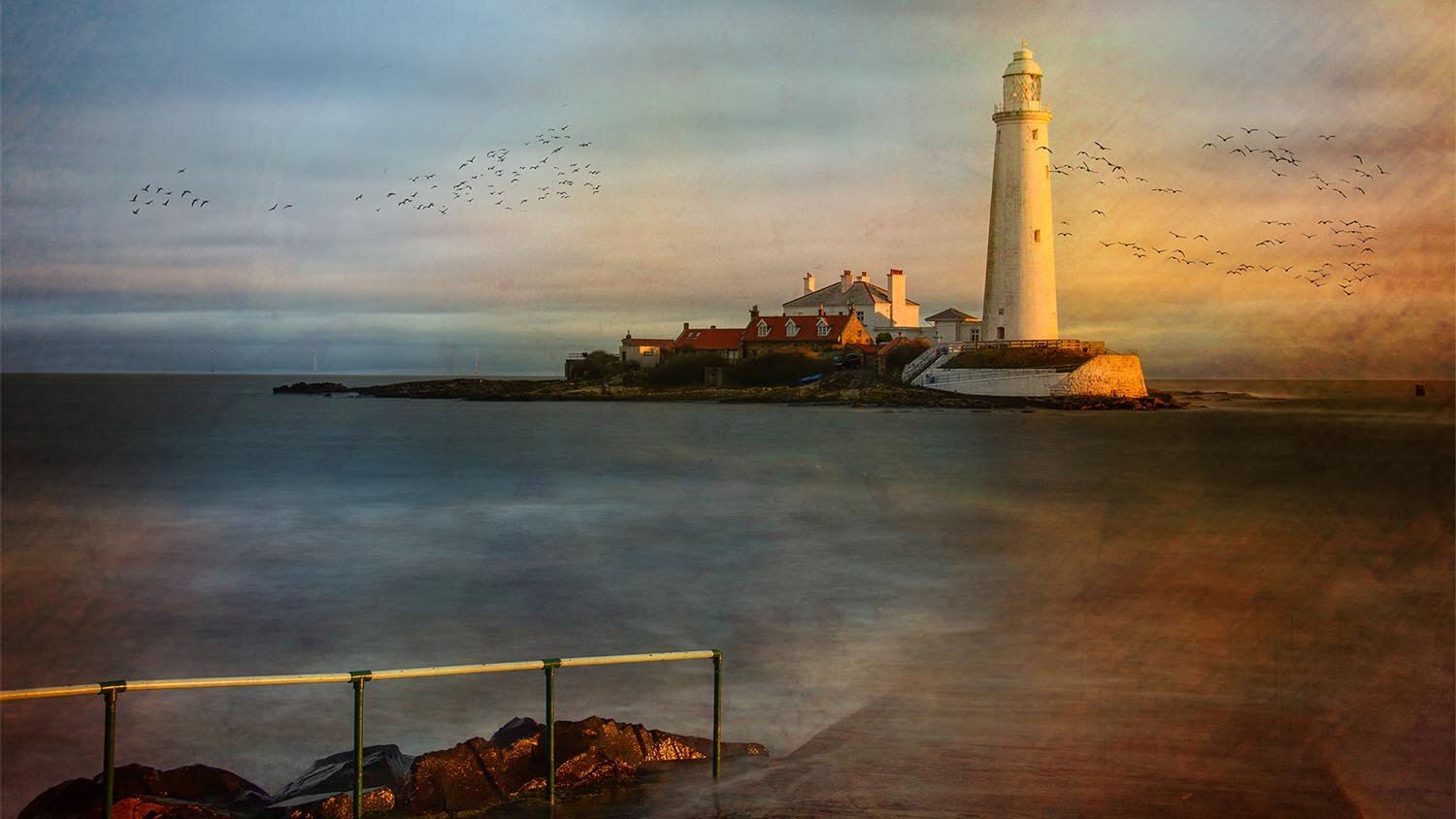 St Mary's Lighthouse at sunrise/sunset with smooth water and birds.