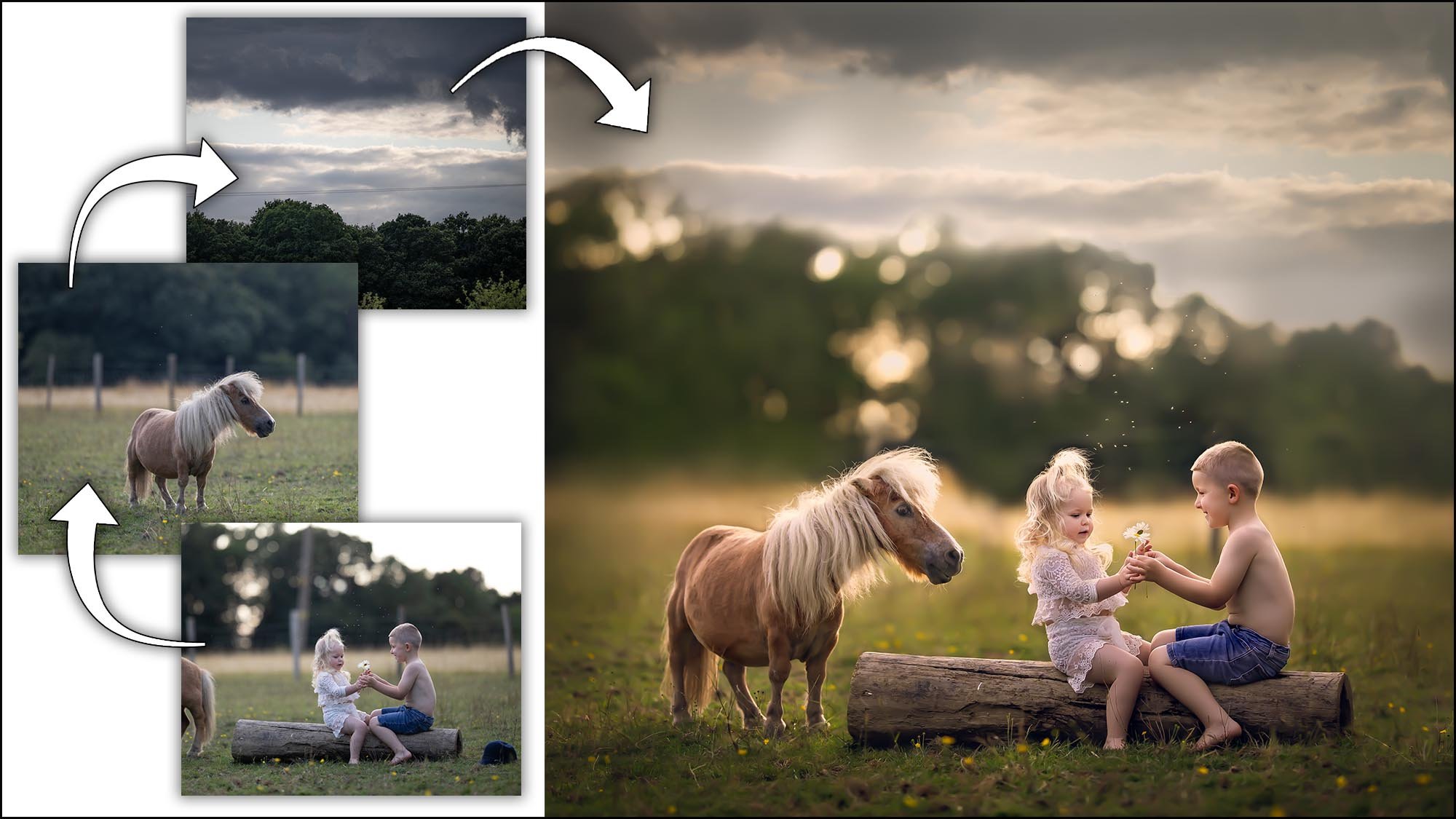 Composite edit of children portrait with pony