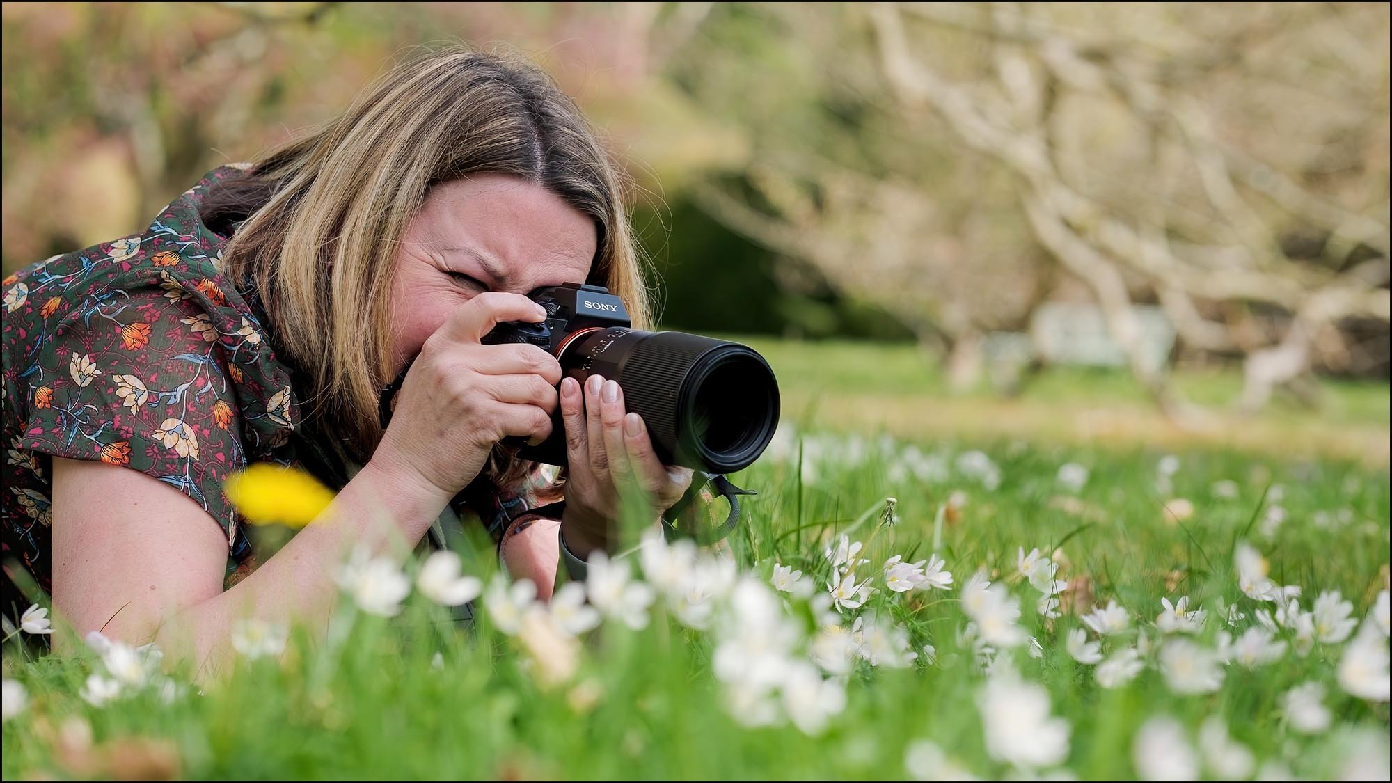 Photography instructor lying in grass to capture close-up shots of wood anemone flowers with a Sony camera