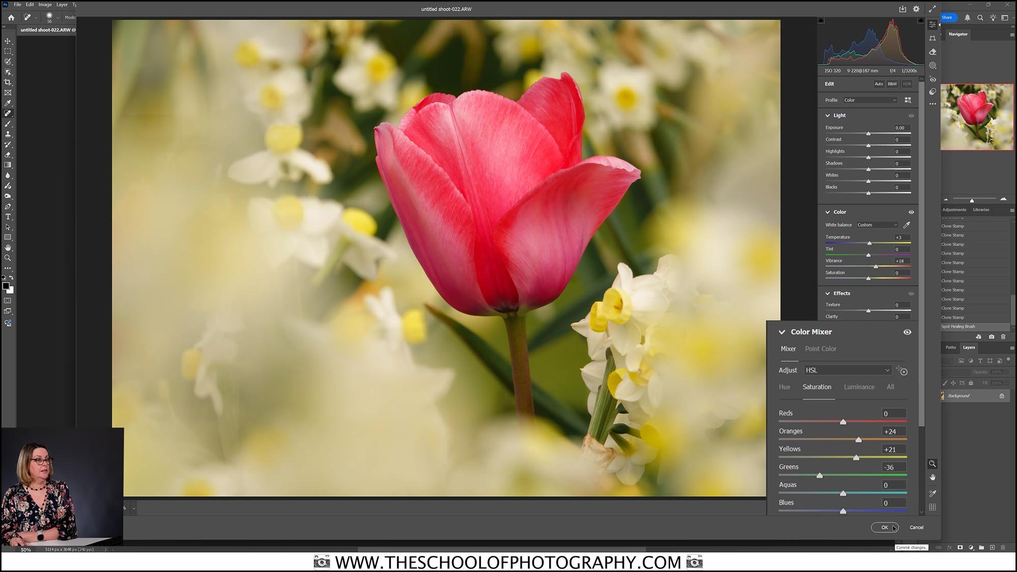 Editing tulip flower photo in Adobe Camera Raw during online photography lesson using color mixer adjustments for vibrance and tones