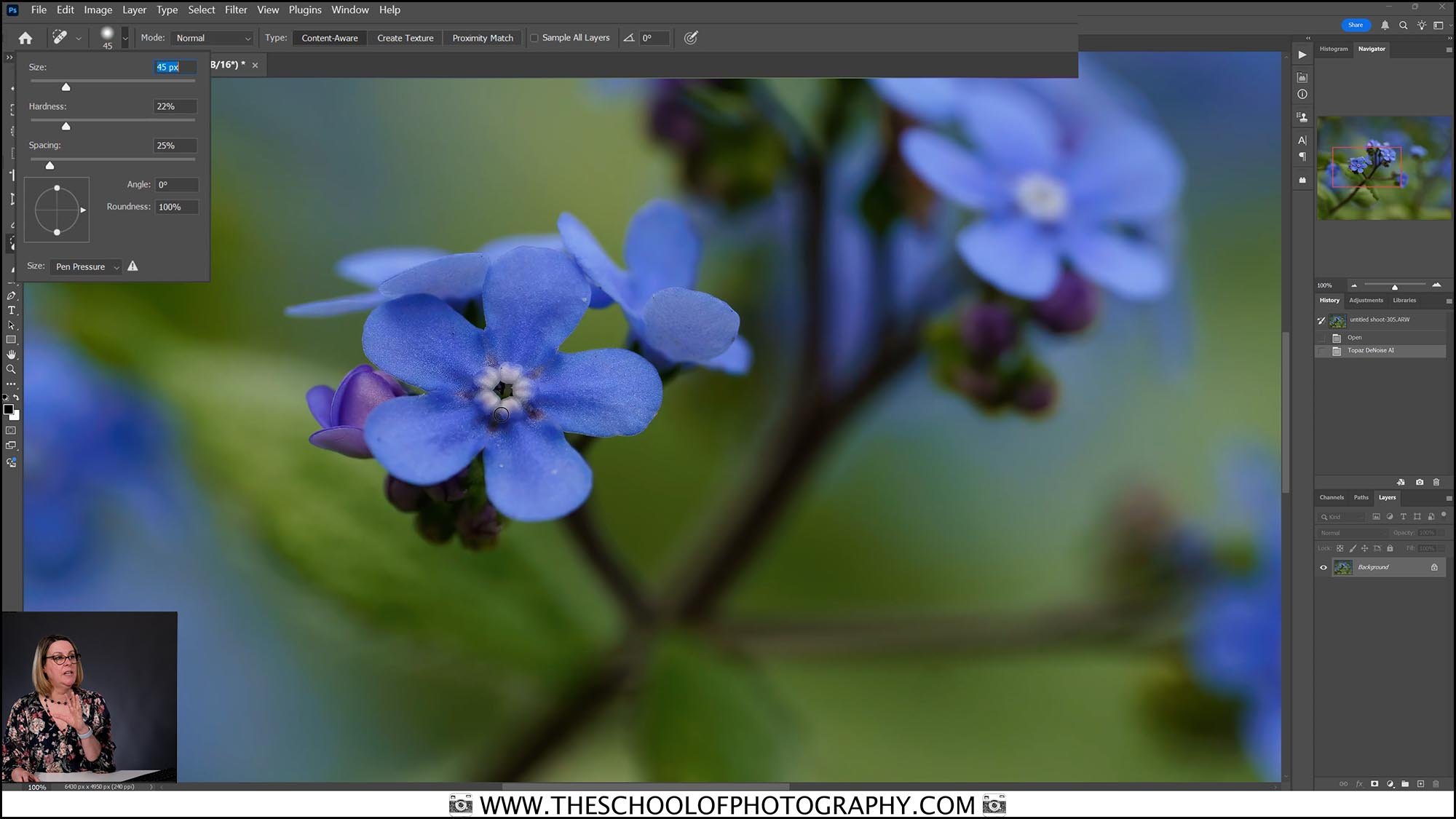 Photoshop editing lesson on enhancing forget-me-not flower close-up with retouching tools for sharper detail and colour