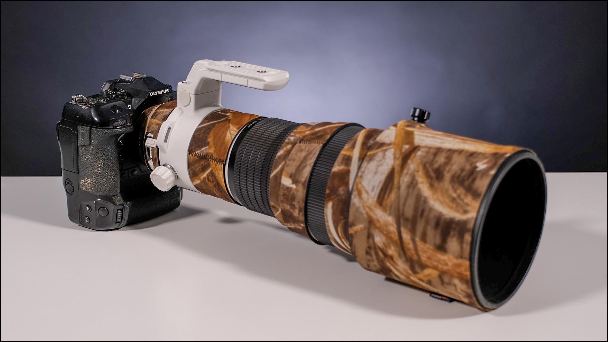 Camera and telephoto lens for wildlife photography