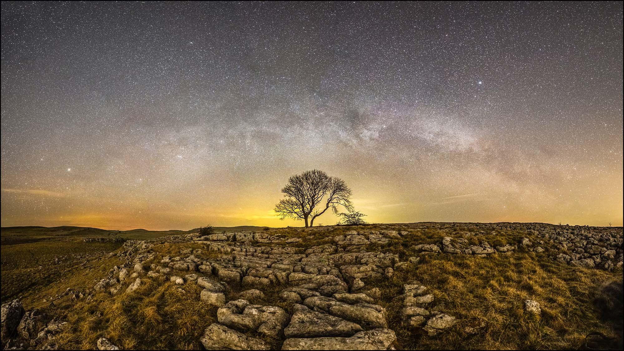 The Milky Way arching over a tree