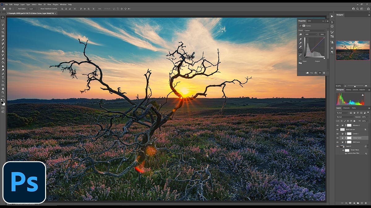 Adobe Photoshop interface displaying a landscape image of a bare tree at sunset.