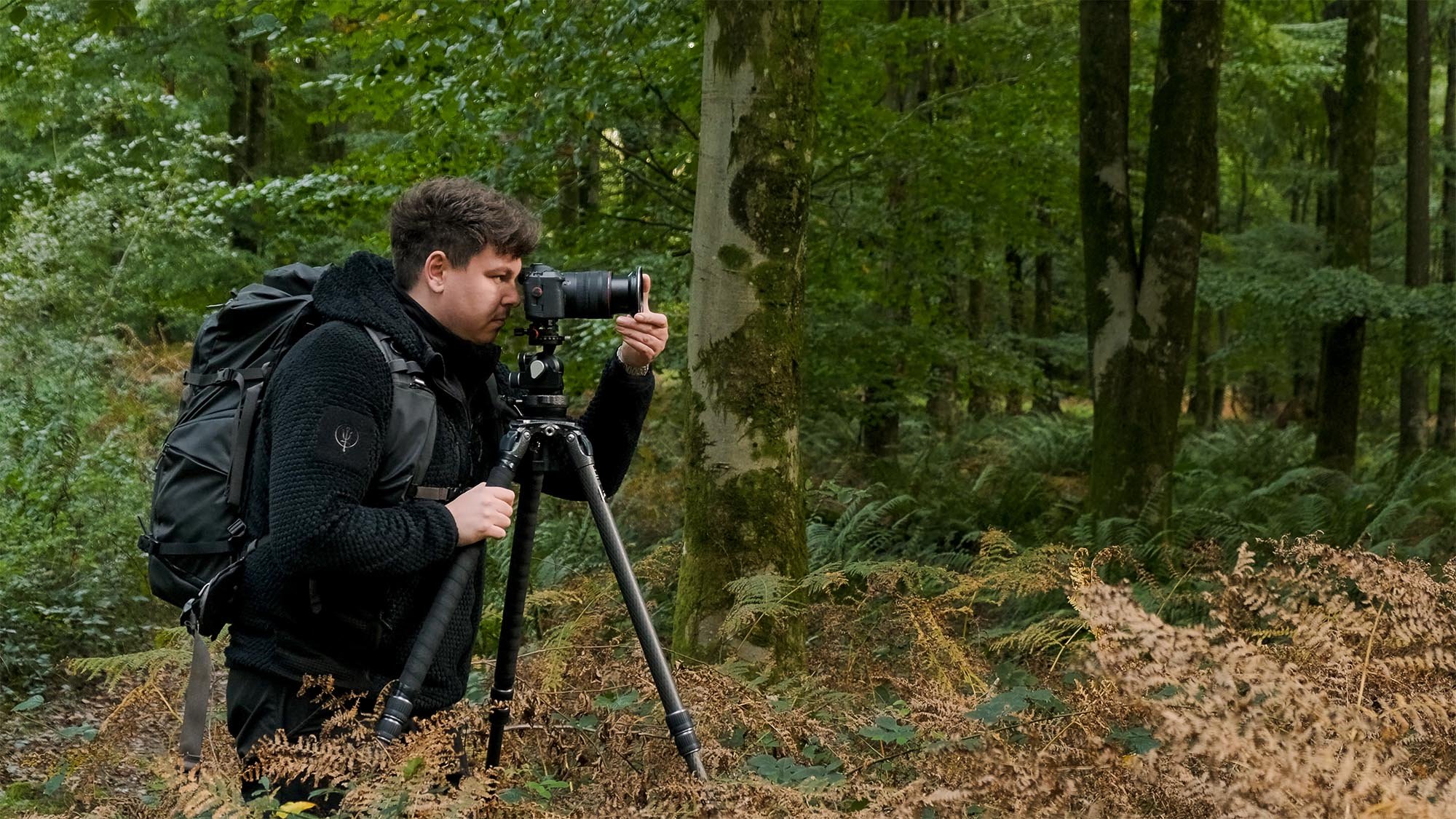 Photographer taking picture in forest